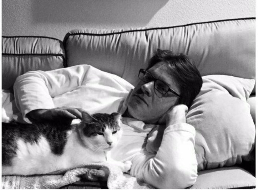 26 fathers who were against "that stupid cat", but something went wrong 26 fathers who were against "that stupid cat", but something went wrong