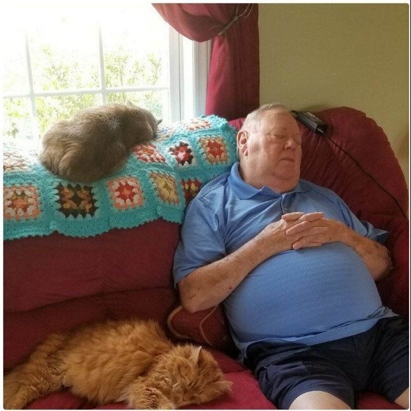 26 fathers who were against "that stupid cat", but something went wrong 26 fathers who were against "that stupid cat", but something went wrong