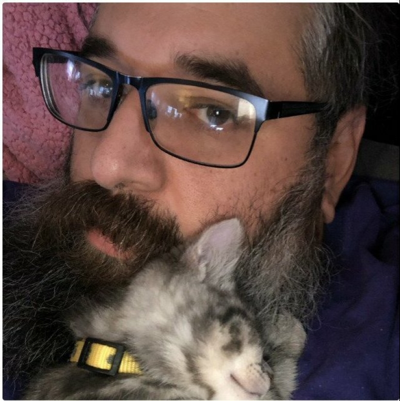 26 fathers who were against "that stupid cat", but something went wrong 26 fathers who were against "that stupid cat", but something went wrong