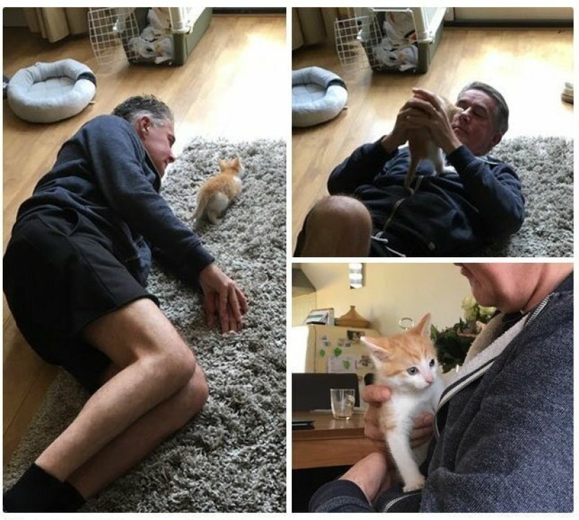 26 fathers who were against "that stupid cat", but something went wrong 26 fathers who were against "that stupid cat", but something went wrong