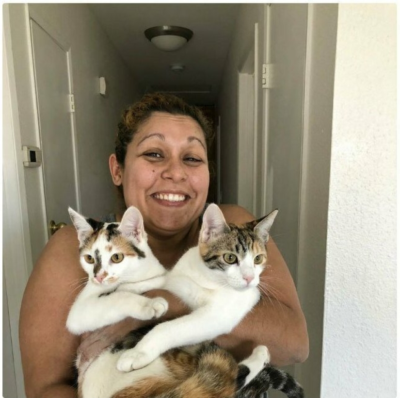 26 fathers who were against "that stupid cat", but something went wrong 26 fathers who were against "that stupid cat", but something went wrong