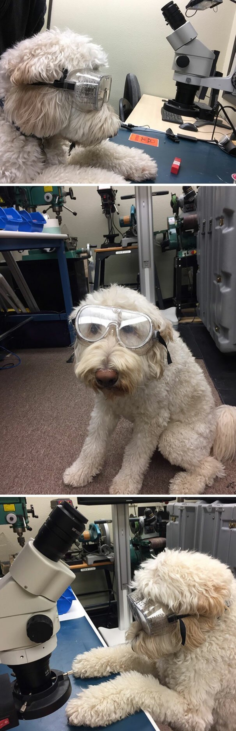 30 cases when people died of boredom, but found original ways to have fun 30 cases when people died of boredom, but found original ways to have fun