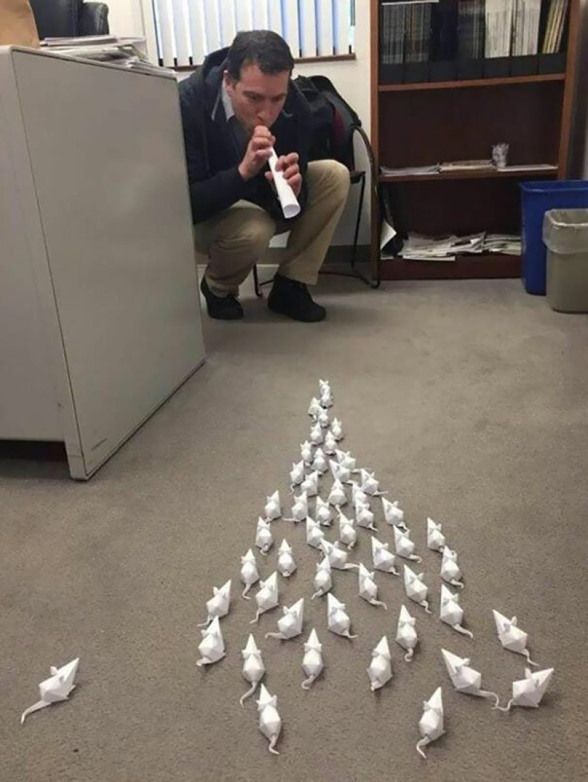 30 cases when people died of boredom, but found original ways to have fun 30 cases when people died of boredom, but found original ways to have fun