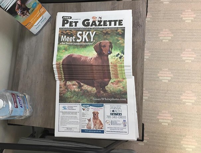 30 casos en los que las personas murieron de aburrimiento, pero encontraron formas originales de divertirse