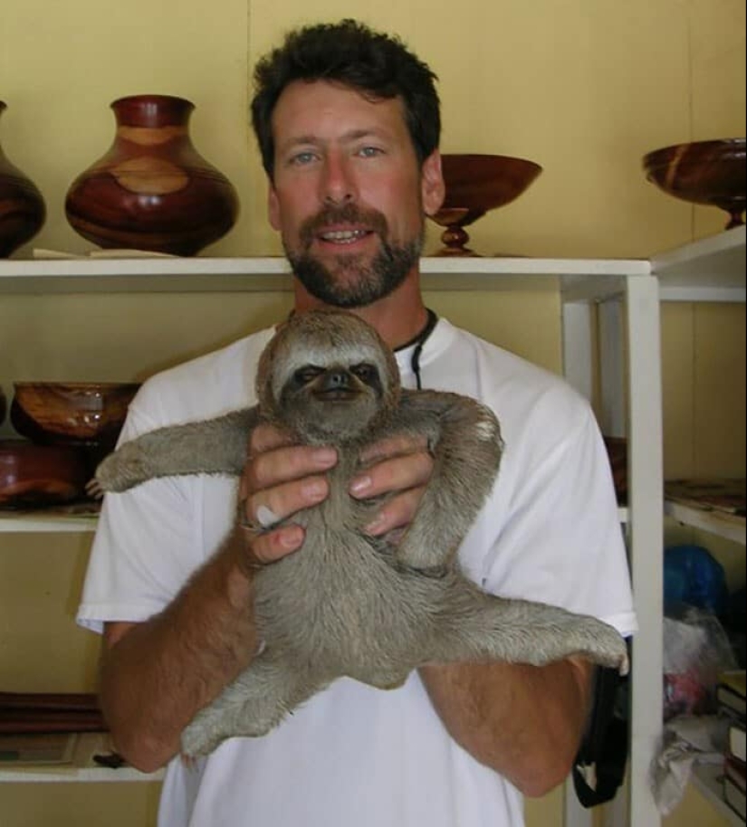 30 cute photos of sloths that will charge the mood 30 cute photos of sloths that will charge the mood