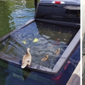 30 failures and accidents that cost someone a pretty penny