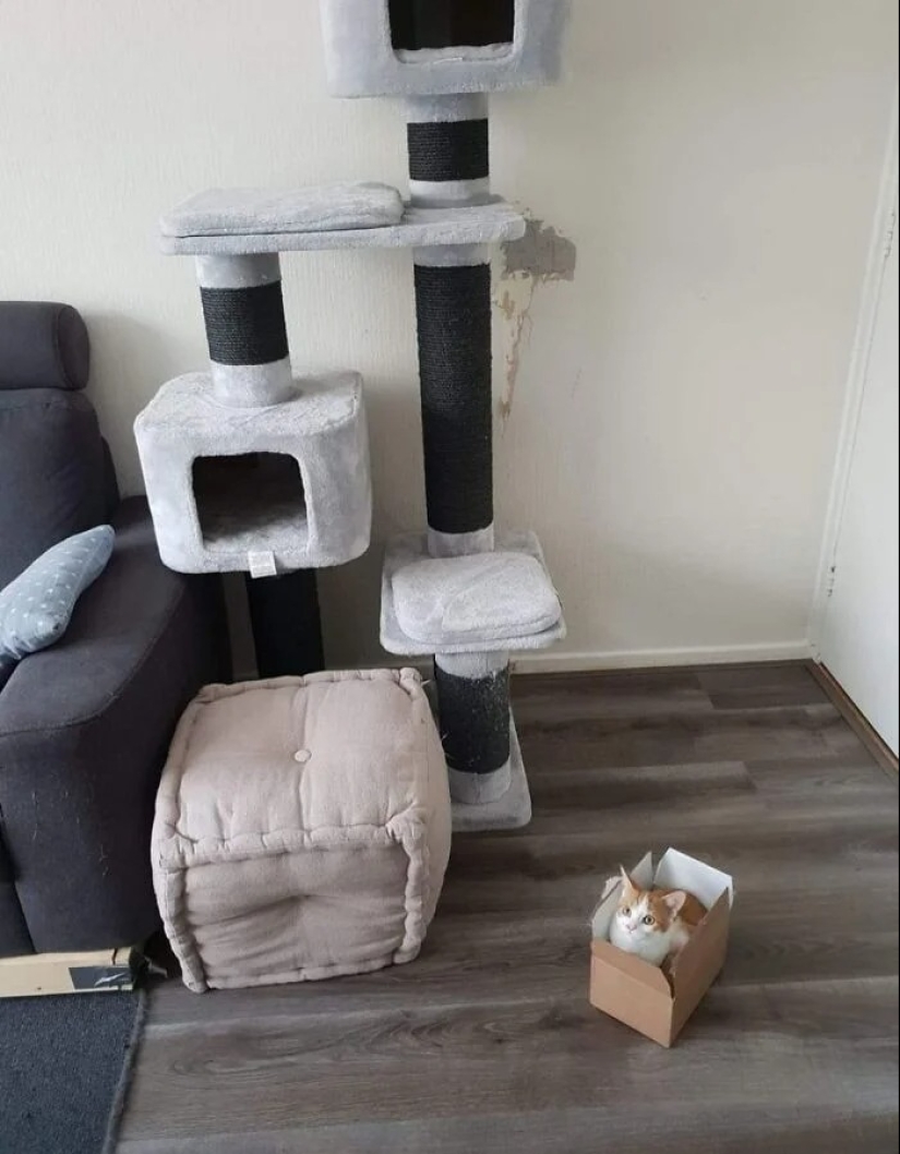 30 failures and accidents that cost someone a pretty penny