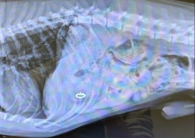 30 failures and accidents that cost someone a pretty penny