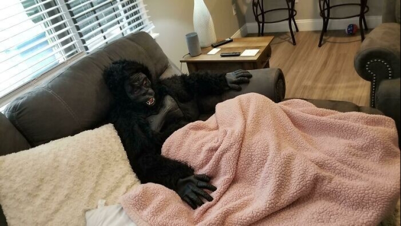 30 funny examples of children's logic that adults find difficult to understand 30 funny examples of children's logic that adults find difficult to understand