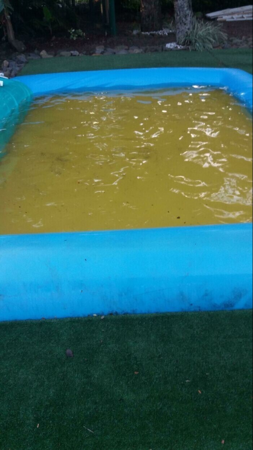 30 occasions when grief designers scared strange colors