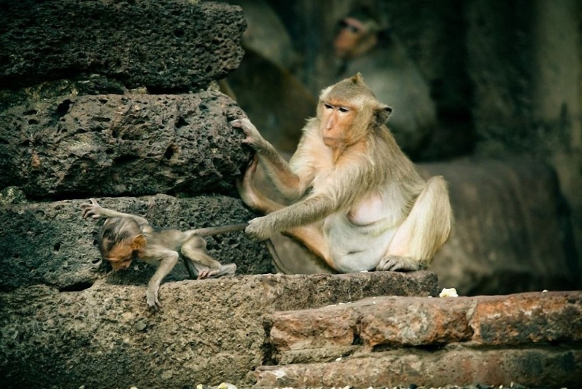 30 places to visit in Thailand