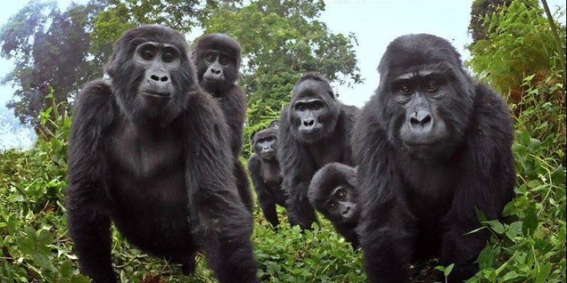 35 fotos divertidas y divertidas para que tu día sea un poco mejor 35 fotos divertidas y divertidas para que tu día sea un poco mejor