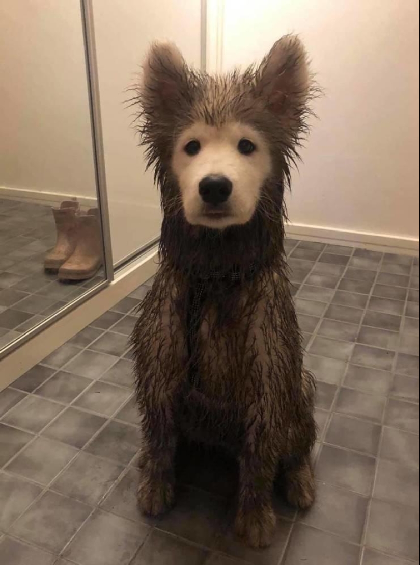 35 fotos divertidas y divertidas para que tu día sea un poco mejor 35 fotos divertidas y divertidas para que tu día sea un poco mejor