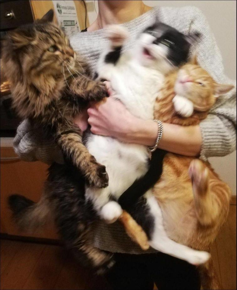 35 fotos divertidas y divertidas para que tu día sea un poco mejor 35 fotos divertidas y divertidas para que tu día sea un poco mejor