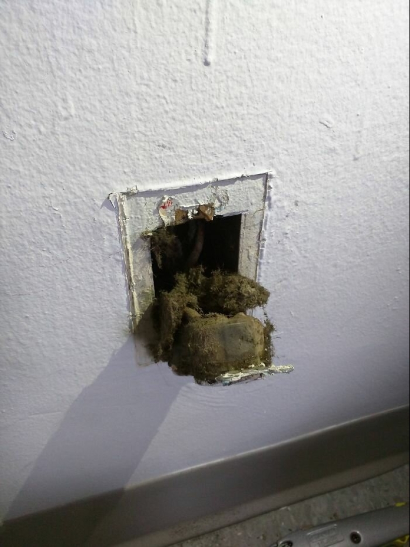 35 fotos sobre qué tipo de horror puedes encontrar en apartamentos alquilados 35 fotos sobre qué tipo de horror puedes encontrar en apartamentos alquilados