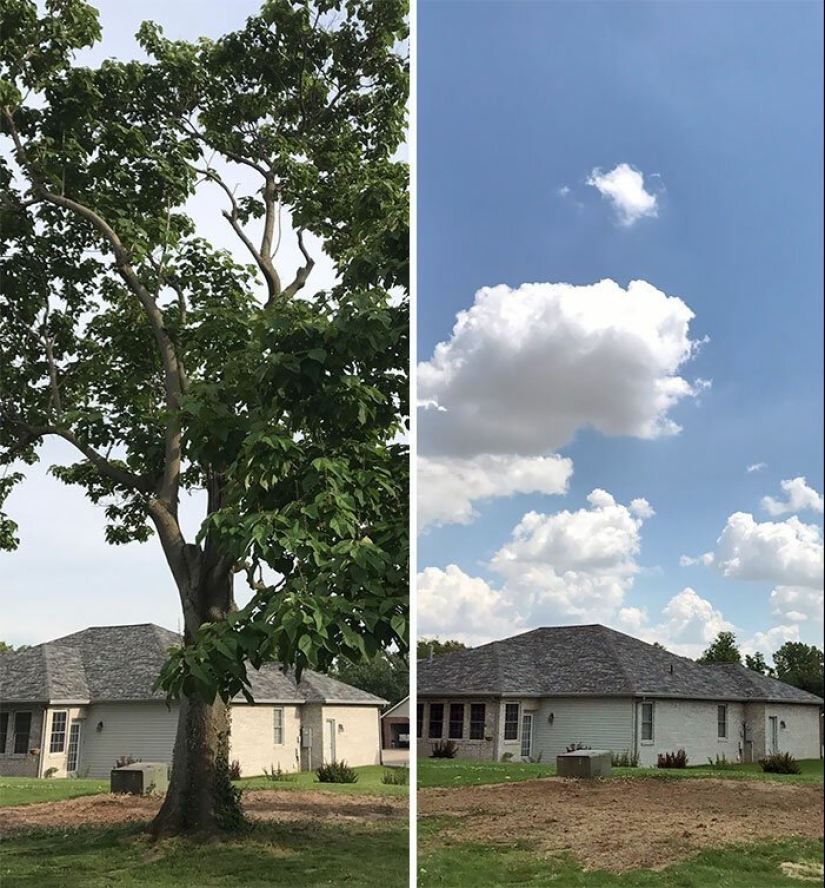 35 fotos sobre qué tipo de horror puedes encontrar en apartamentos alquilados 35 fotos sobre qué tipo de horror puedes encontrar en apartamentos alquilados