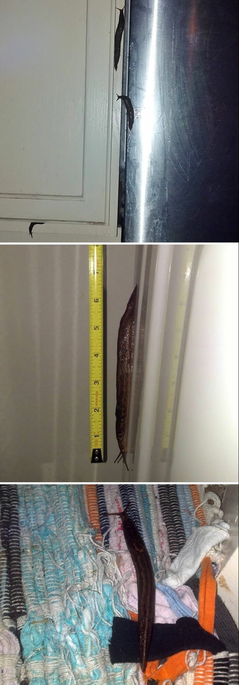 35 fotos sobre qué tipo de horror puedes encontrar en apartamentos alquilados 35 fotos sobre qué tipo de horror puedes encontrar en apartamentos alquilados