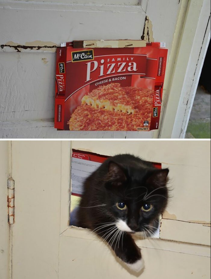 35 photos about what kind of horror you can meet in rented apartments 35 photos about what kind of horror you can meet in rented apartments