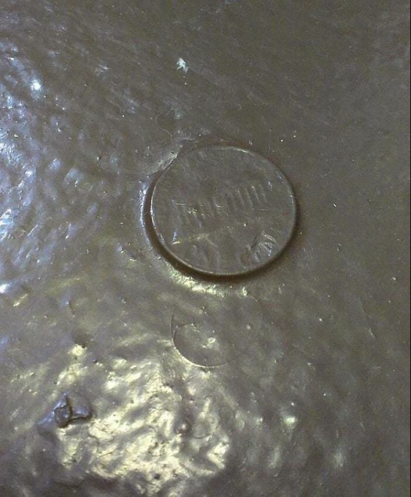 35 photos about what kind of horror you can meet in rented apartments 35 photos about what kind of horror you can meet in rented apartments