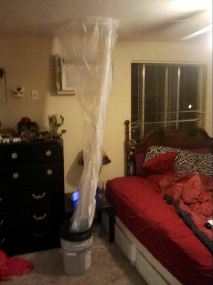 35 photos about what kind of horror you can meet in rented apartments 35 photos about what kind of horror you can meet in rented apartments