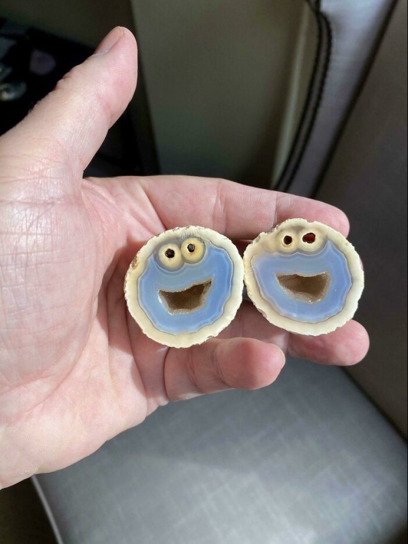 35 unexpected finds that people have shared online