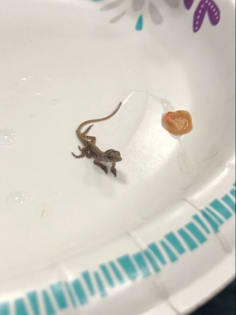 35 unexpected finds that people have shared online