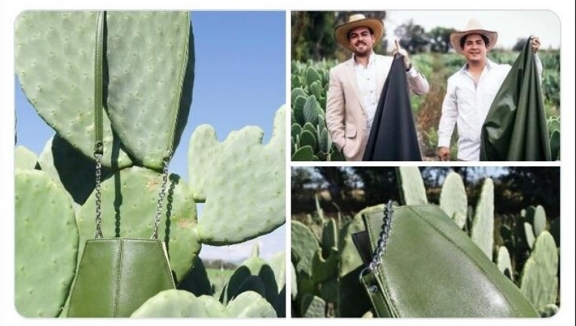 35 unusual inventions for life that you most likely want to get 35 unusual inventions for life that you most likely want to get