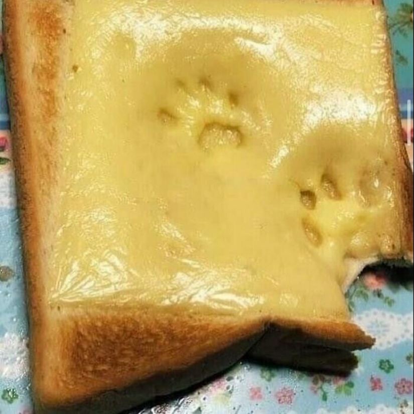 40 funny and strange pictures about food 40 funny and strange pictures about food