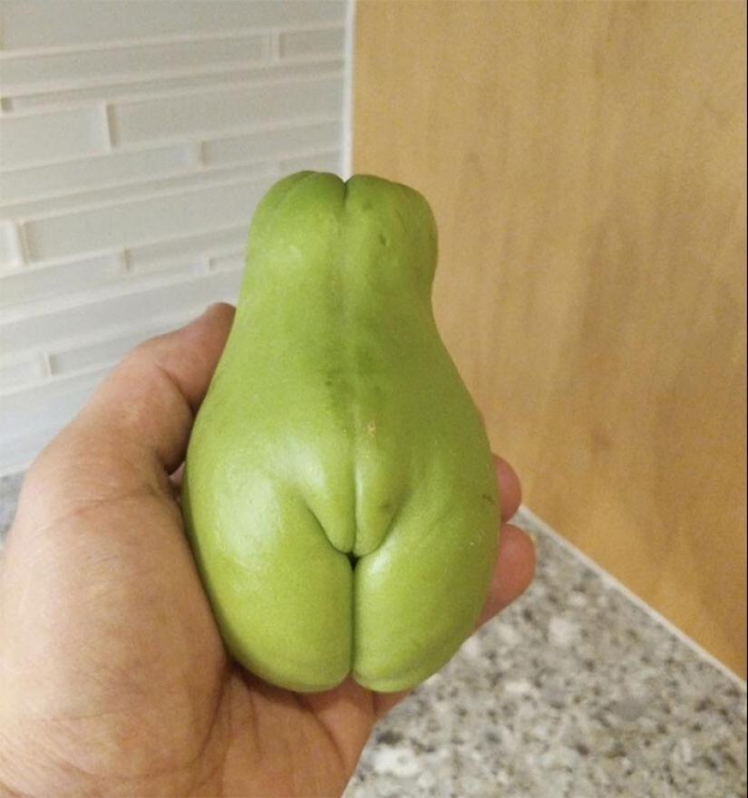 40 funny and strange pictures about food 40 funny and strange pictures about food