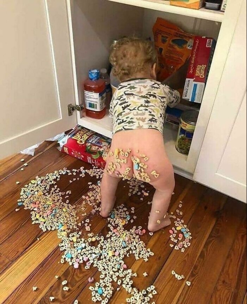 40 funny and strange pictures about food 40 funny and strange pictures about food