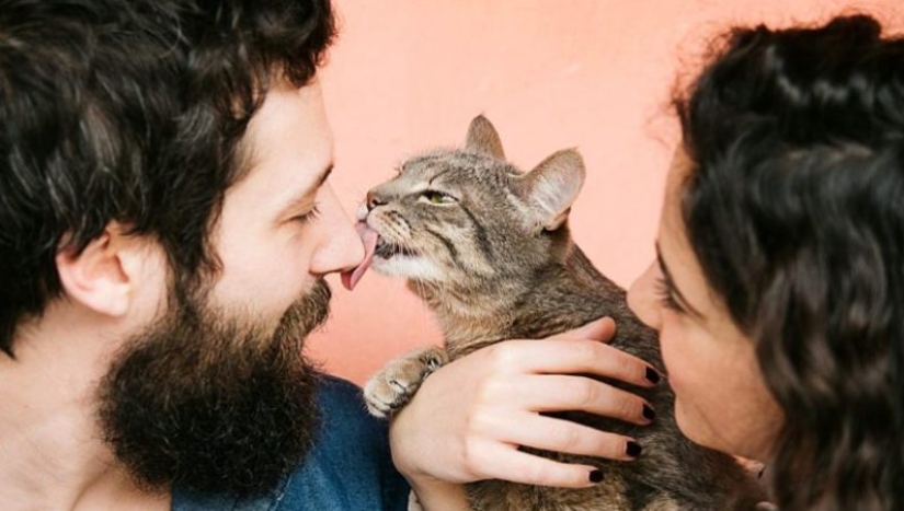 5 formas de demostrarle tu amor a tu gato 5 formas de demostrarle tu amor a tu gato