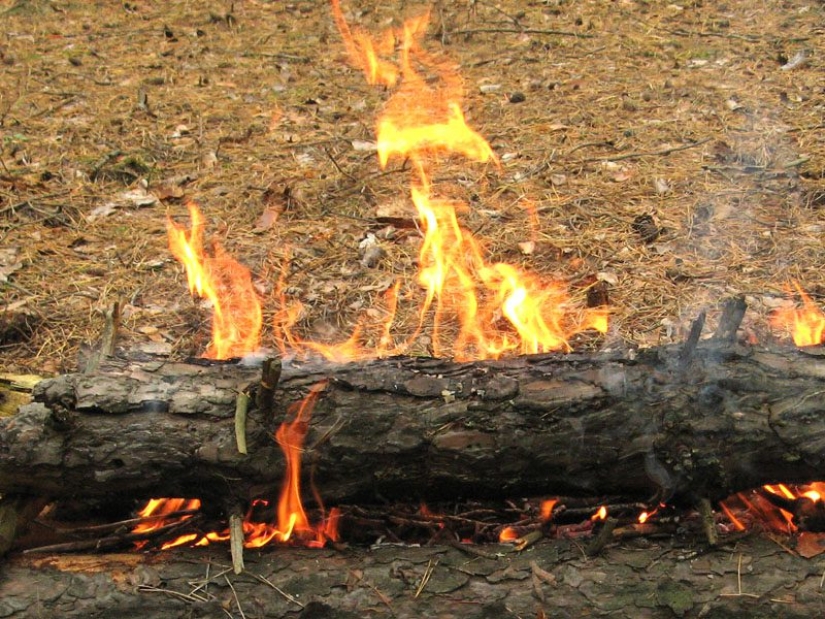 5 métodos bárbaros de tratamiento practicados por nuestros antepasados 5 métodos bárbaros de tratamiento practicados por nuestros antepasados