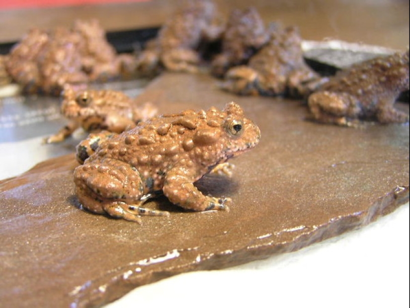 5 métodos bárbaros de tratamiento practicados por nuestros antepasados 5 métodos bárbaros de tratamiento practicados por nuestros antepasados