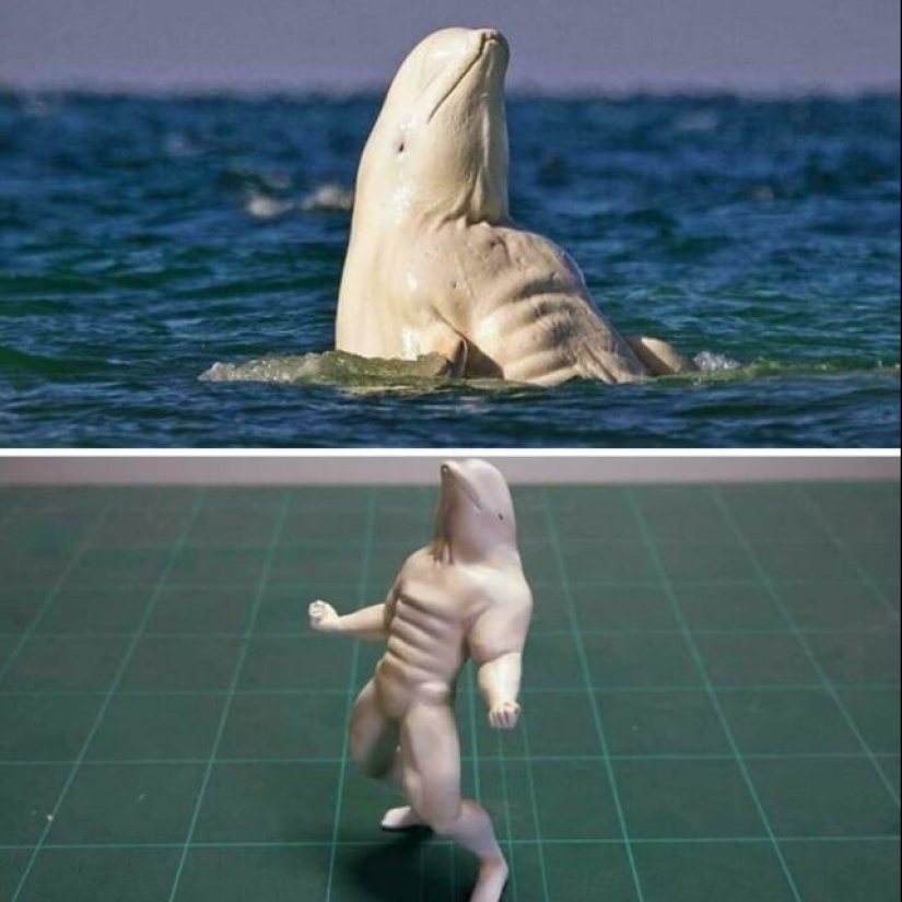 55 fotos impresionantes de cosas fenomenalmente grandes 55 fotos impresionantes de cosas fenomenalmente grandes