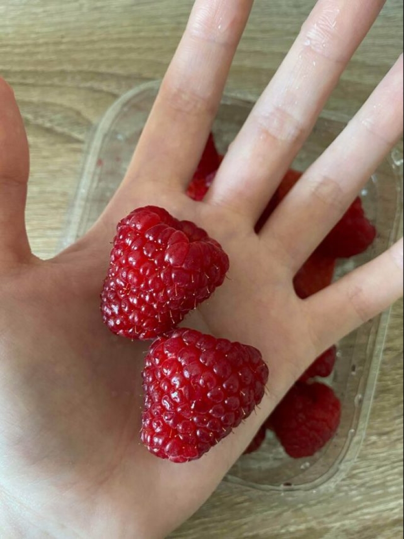 55 fotos impresionantes de cosas fenomenalmente grandes 55 fotos impresionantes de cosas fenomenalmente grandes