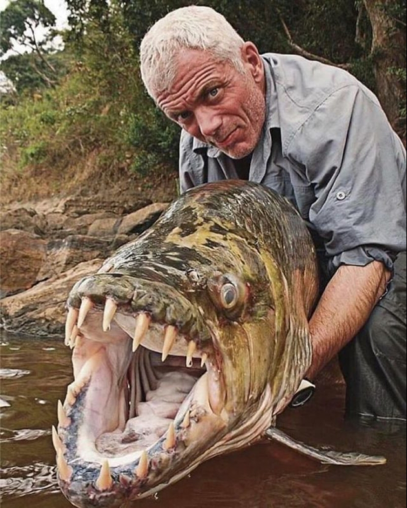 55 fotos impresionantes de cosas fenomenalmente grandes 55 fotos impresionantes de cosas fenomenalmente grandes