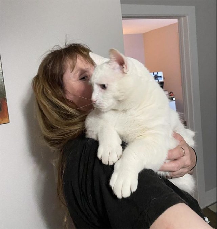 55 impressive photos of phenomenally big things 55 impressive photos of phenomenally big things