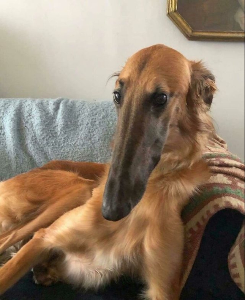 55 impressive photos of phenomenally big things 55 impressive photos of phenomenally big things