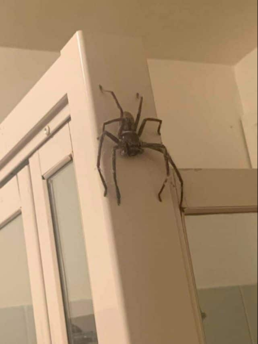 55 impressive photos of phenomenally big things 55 impressive photos of phenomenally big things