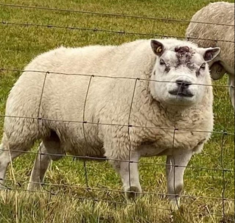 55 impressive photos of phenomenally big things 55 impressive photos of phenomenally big things