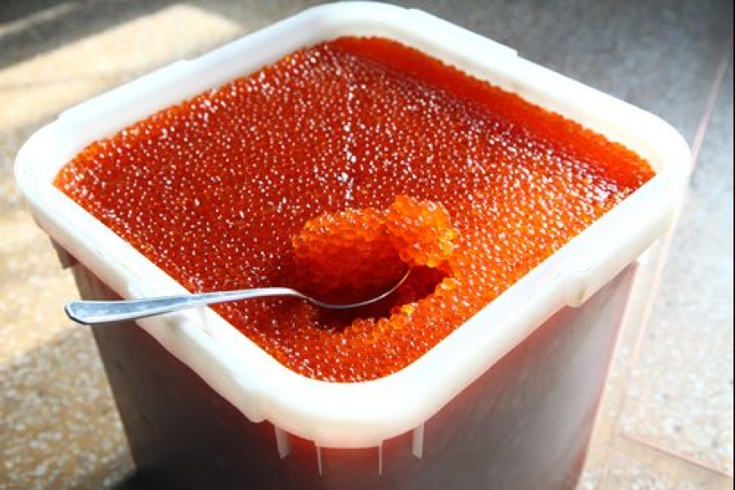 7 rules of choosing red caviar for the Christmas table 7 rules of choosing red caviar for the Christmas table