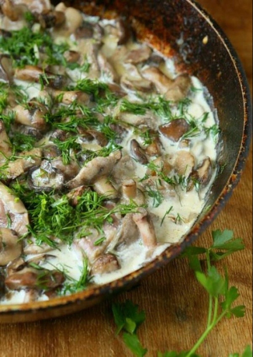 7 simple lunches for those who are very busy 7 simple lunches for those who are very busy