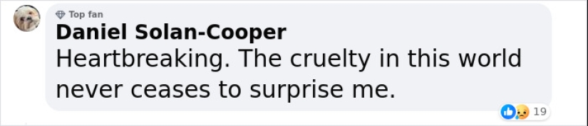 9-Year-Old Fed Himself, Went To School, And Lived Alone For 2 Years After Mom Abandoned Him