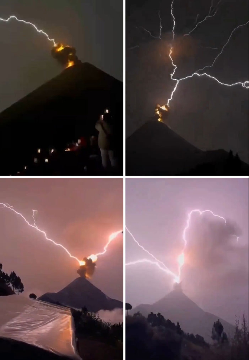 “A Cow On A Roof”: 10 Wild Pics Of Mother Nature Doing Things On Its Own Terms