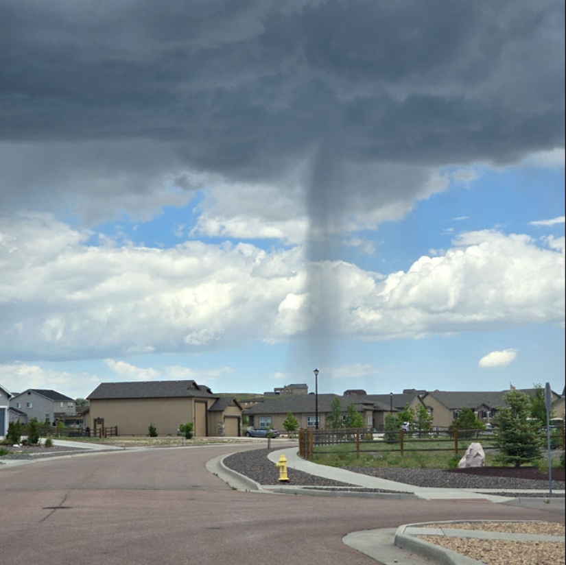 “A Cow On A Roof”: 10 Wild Pics Of Mother Nature Doing Things On Its Own Terms