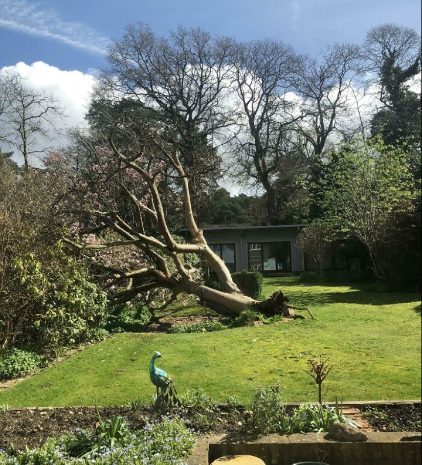 “A Cow On A Roof”: 10 Wild Pics Of Mother Nature Doing Things On Its Own Terms