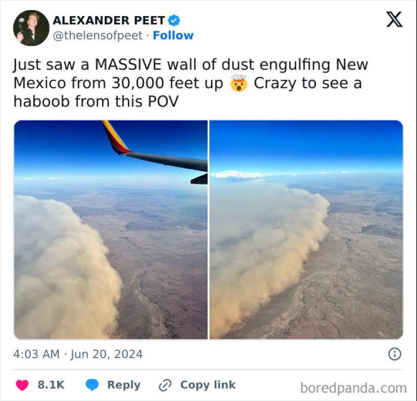 “A Cow On A Roof”: 10 Wild Pics Of Mother Nature Doing Things On Its Own Terms