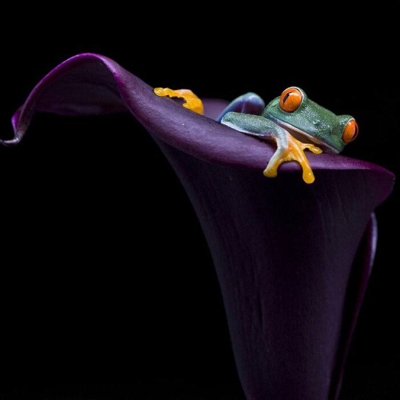 A Decade Of Nature’s Best: 12 Winning Shots From Siena Awards’ “Beauty Of Nature” Category