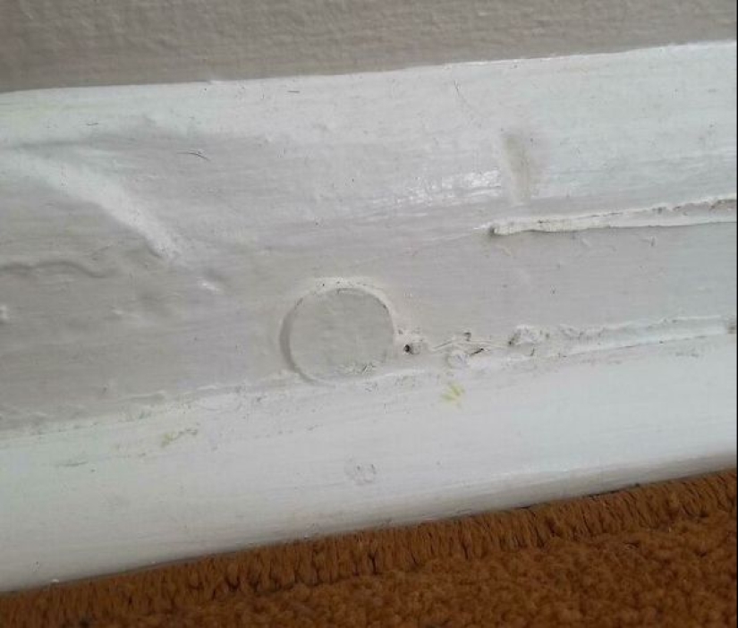 Al borde de la genialidad: 22 ejemplos de pereza asombrosa Al borde de la genialidad: 22 ejemplos de pereza asombrosa