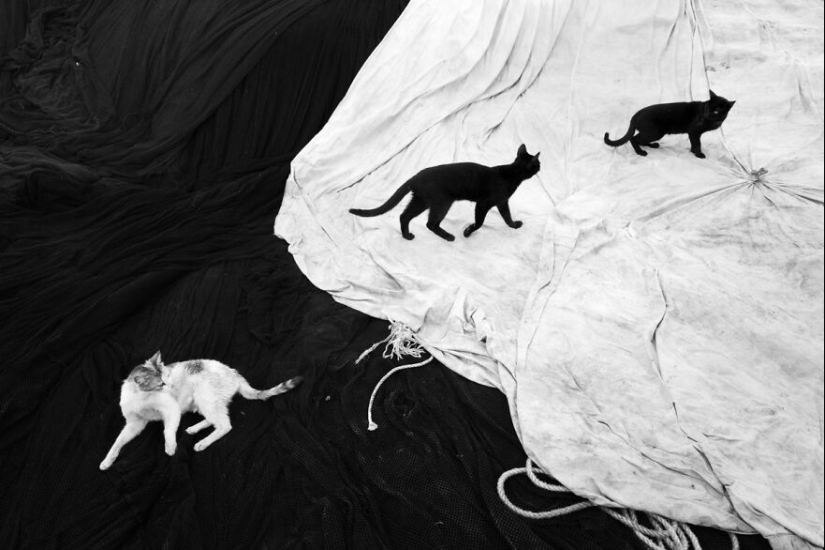 All About Photo Magazine Awards 2024: Here Are 15 Of The Most Beautiful Black And White Photographs All About Photo Magazine Awards 2024: Here Are 15 Of The Most Beautiful Black And White Photographs